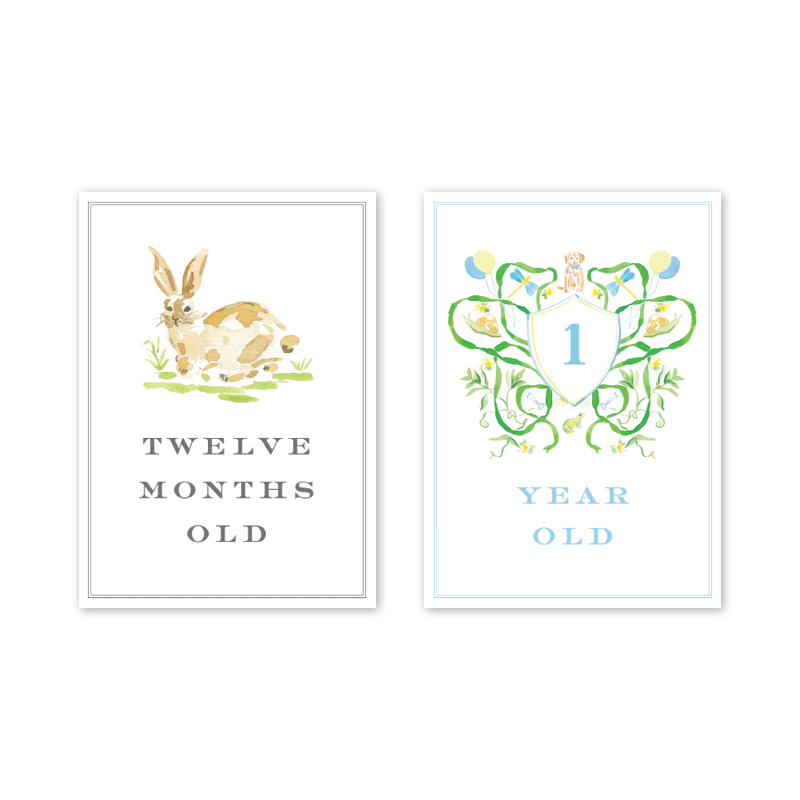 Joys For Boys Milestone Cards