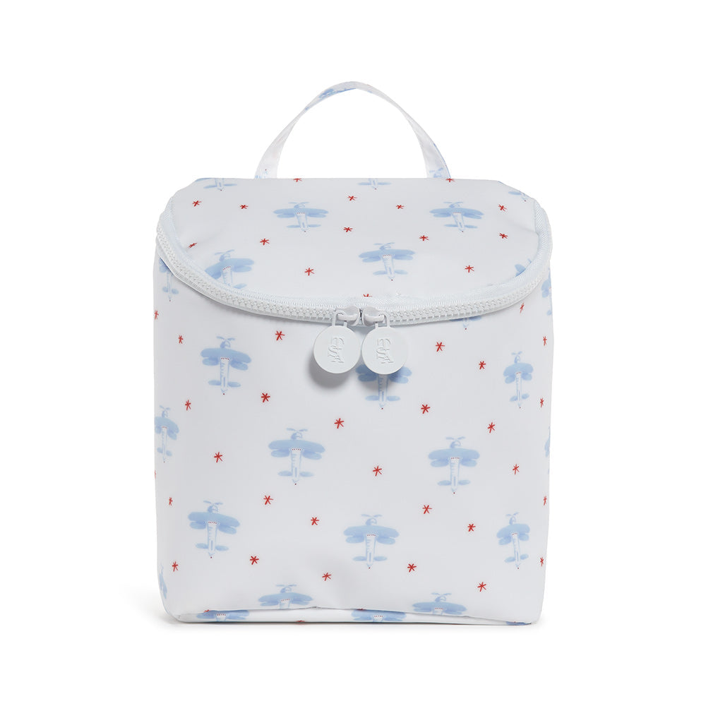 Take Away Insulated Lunch Bag - David's Airplanes