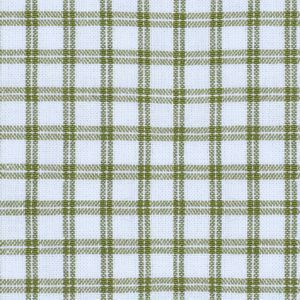 Michelle Bubble Long Sleeve - Grove Park Green Windowpane